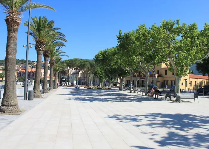 3 Pieces 6 Couchages Sur Bn100-003c Διαμέρισμα Banyuls-sur-Mer
